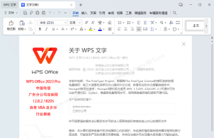 WPS Office 2023 Pro 中国电信定制版 12.8.2.18205