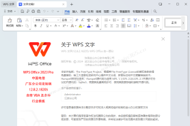 WPS Office 2023 Pro 中国电信定制版 12.8.2.18205